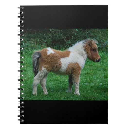 Fluffy Schattig dartmoor-Pony Notitieboek (Voorkant)