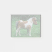 Fluffy Schattig dartmoor-Pony Post-it® Notes (Voorkant)