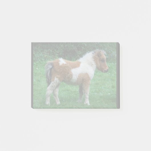 Fluffy Schattig dartmoor-Pony Post-it® Notes (Voorkant)