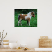 Fluffy Schattig dartmoor-Pony Poster (Keuken)