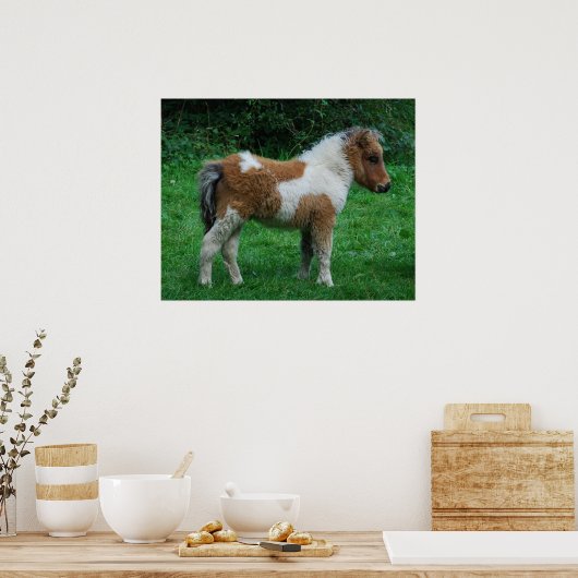 Fluffy Schattig dartmoor-Pony Poster (Keuken)