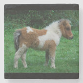 Fluffy Schattig dartmoor-Pony Stenen Onderzetter (Voorkant)