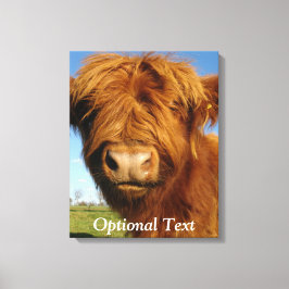 Fluffy Scottish Highland Koe - Blue Sky Canvas Afdruk