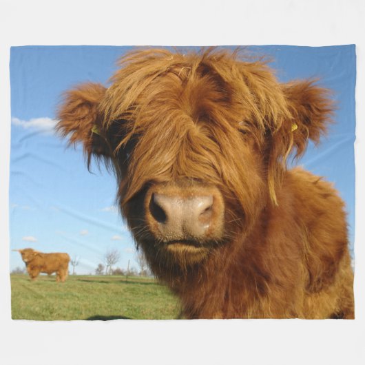 Fluffy Scottish Highland Koe - Blue Sky Fleece Deken (Voorkant (Horizontaal))