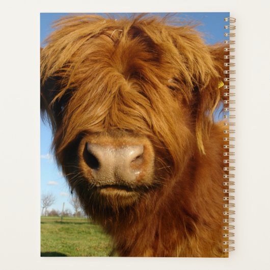 Fluffy Scottish Highland Koe - Blue Sky Planner (Achterkant)