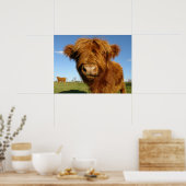 Fluffy Scottish Highland Koe - Blue Sky Poster (Keuken)