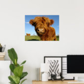 Fluffy Scottish Highland Koe - Blue Sky Poster (Thuiskantoor)
