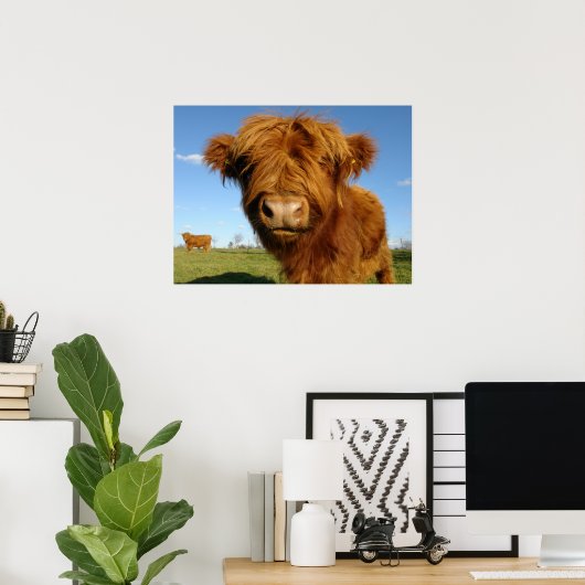 Fluffy Scottish Highland Koe - Blue Sky Poster (Thuiskantoor)