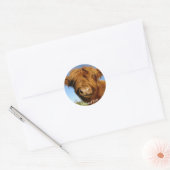 Fluffy Scottish Highland Koe - Blue Sky Ronde Sticker (Envelop)