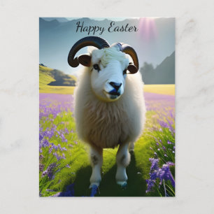 Fluffy Sheep field of purple bloemen - Pasen Briefkaart