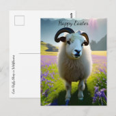 Fluffy Sheep field of purple bloemen - Pasen Briefkaart (Voorkant / Achterkant)