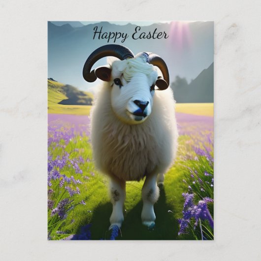 Fluffy Sheep field of purple bloemen - Pasen Briefkaart (Voorkant)