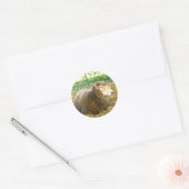Fluffy Sheep Ronde Sticker (Envelop)