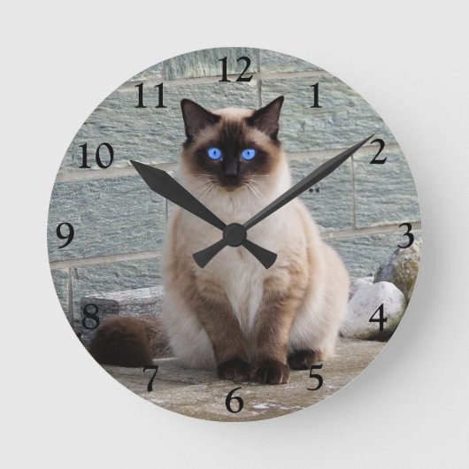 Fluffy Siamese kat met blauwe ogen Ronde Klok (Voorkant)