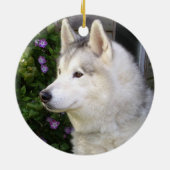 Fluffy Siberian Husky Puppy Dog Keramisch Ornament (Achterkant)