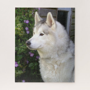 Fluffy Siberian Husky Puppy Dog Legpuzzel
