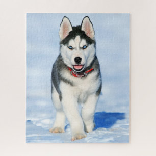 Fluffy Siberian Husky Puppy in de sneeuw Legpuzzel