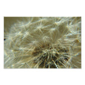 Fluffy Sphere - Foto Afdruk (Voorkant)