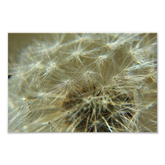 Fluffy Sphere - Foto Afdruk (Voorkant)