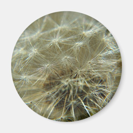 Fluffy Sphere - Magneet (Voorkant)