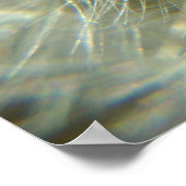 Fluffy Sphere - Poster (Hoek)