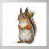Fluffy Squirrel Art Poster (Voorkant)