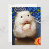 Fluffy Syrian Hamster Kokolinka Briefkaart (Voorkant / Achterkant)