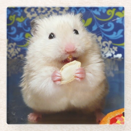 Fluffy Syrian Hamster Kokolinka Glazen Onderzetter (Voorkant)