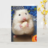 Fluffy Syrian Hamster Kokolinka Kaart (Gele Bloem)