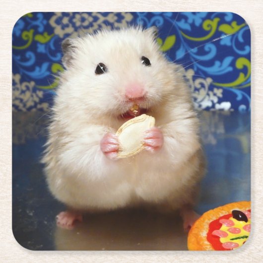 Fluffy Syrian Hamster Kokolinka Kartonnen Onderzetters (Voorkant)
