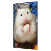 Fluffy Syrian Hamster Kokolinka Klembord (Links)