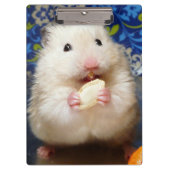 Fluffy Syrian Hamster Kokolinka Klembord (Voorkant)