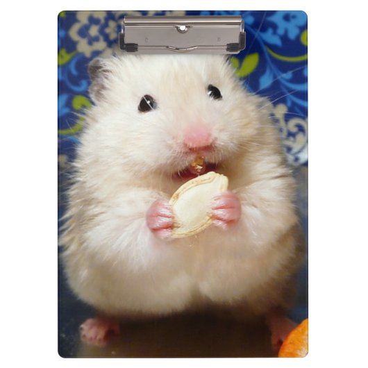 Fluffy Syrian Hamster Kokolinka Klembord (Voorkant)