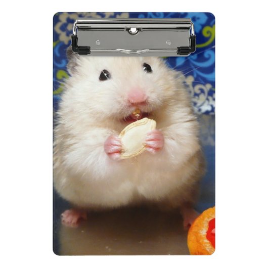 Fluffy Syrian Hamster Kokolinka Mini Klembord (Voorkant)