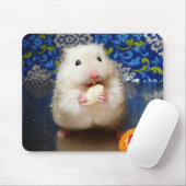 Fluffy Syrian Hamster Kokolinka Muismat (Met muis)