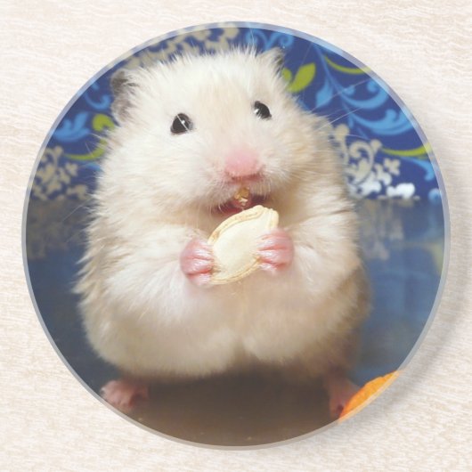 Fluffy Syrian Hamster Kokolinka Zandsteen Onderzetter (Voorkant)