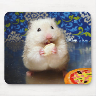 Fluffy syrische hamster Kokolinka die een zaadje e Muismat
