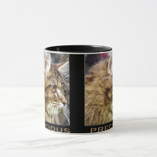 Fluffy TABBY KITTEN Cadeau Mokken (Midden)