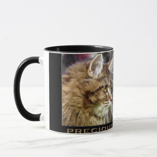 Fluffy TABBY KITTEN Cadeau Mokken (Links)