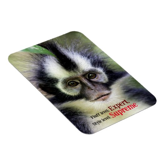 Fluffy Thomas Leaf monkey Magneet (Rechterzijde)