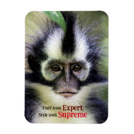 Fluffy Thomas Leaf monkey Magneet