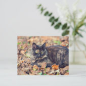Fluffy Tortoiseshel Kat in het najaar Briefkaart (Staand voorkant)