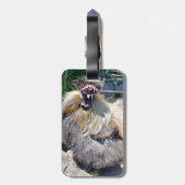 Fluffy Ugly Chicken, Bagage Label (Achterkant verticaal)