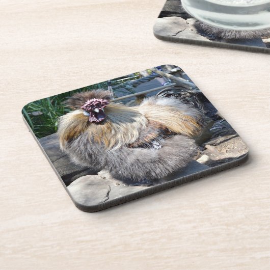 Fluffy Ugly Chicken, Onderzetters (Linkerzijde)