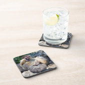 Fluffy Ugly Chicken, Onderzetters (Rechterzijde)