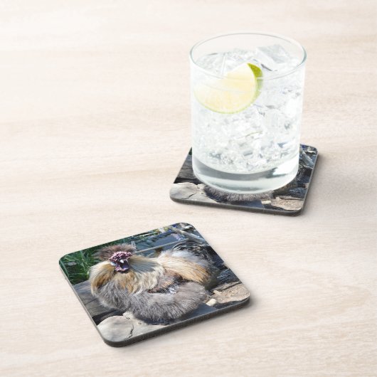 Fluffy Ugly Chicken, Onderzetters (Rechterzijde)