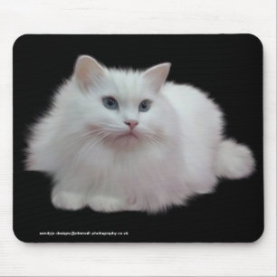Fluffy White Cat Muismat