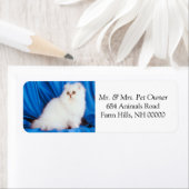 Fluffy White Cat Return Address Labkers Etiket (Insitu)