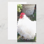 Fluffy White Chicken Bedankkaart (Voorkant / Achterkant)