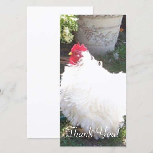 Fluffy White Chicken Bedankkaart (Voorkant / Achterkant)